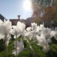 Mākslas skolas akcija "100 ziedi Latvijai"